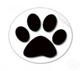 pet-shops-no-Sapopemba